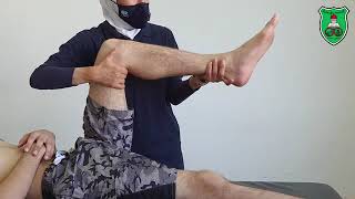 hip examination  internal amp external rotation [upl. by Nylsor628]