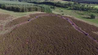 Piperdam Quad Biking Scotland [upl. by Hplodnar]