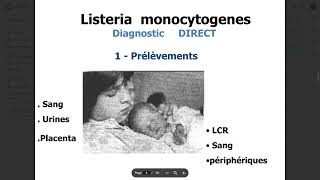 Bacteriologie  Bacteries a transmission MereEnfant FMPC [upl. by Adnopoz]