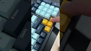 Keyboard Gaming Mechanical Fantech Atom 96 V2 Fullsize Sound Test keyboard keyboardgaming [upl. by Donielle]