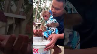 Dad helps Bibi and Lala catch fish monkeybibi shorts [upl. by Cherian]