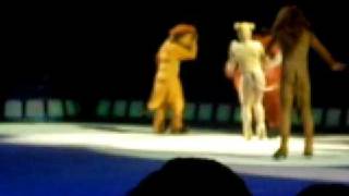 lion king 100 yr on ice [upl. by Oirevlis]