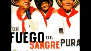 Los Gaiteros de San jacinto Un fuego de Sangre Pura [upl. by Glogau]