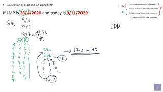 Gestational age GA and EDD calculations شرح [upl. by Banna]