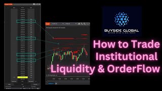 How to Trade Institutional Liquidity Level 2 OrderFlow Data [upl. by Atsirt]