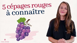 5 cépages rouges à connaître absolument cabernet sauvignon merlot pinot noir syrah et grenache [upl. by Gerc709]