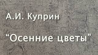 АИ Куприн quotОсенние цветыquot Рассказ Читает Вера Петлина Аудиокнига [upl. by Ecirp13]