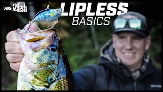 Basic Lipless Crankbait Tips for Fall Bank Beating [upl. by Aciemaj288]