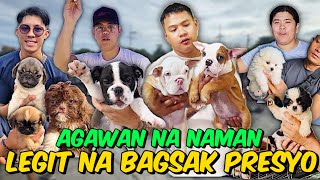 MGA BIHIRANG BREED BAGSAK PRESYO  GROTTO PET MARKET UPDATE  OCTOBER 20 2024 [upl. by Daniyal466]