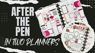 How I use my Planners Catch All and Wellness [upl. by Mckeon684]