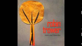 Robin Trower  See My Life [upl. by Weasner586]