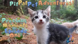 Pit Pat Pet Adventures Precious Moments Episode One [upl. by Wettam]