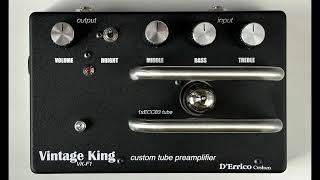 DErrico Custom VKF1 tube preamp  direct into [upl. by Aynahs]