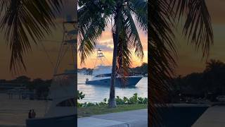 Huge Sportfish Stops Traffic “MVP” Yacht In Miami boat yacht luxury [upl. by Natrav]