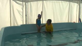 Great Swim Skills For 3 to 4 Year Olds [upl. by Eseenaj838]