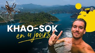 KhaoSok une aventure au coeur de la jungle 🇹🇭 🎒  VLOG [upl. by Pantia338]