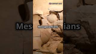 Mesopotamia Birthplace of Civilizationshorts viralvideo ancientcivilization [upl. by Anatnas]