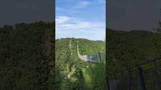 Geierlay Suspension bridge Germany [upl. by Cavan]