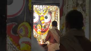 ସନ୍ଧ୍ୟା ଆଳତି ଦର୍ଶନ jayjagannath [upl. by Asilef797]