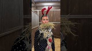 Pferdehofliebe  Schöne Feiertage 🎅🎄 pferdehofliebe froheweihnachten equestrian youtubeshorts [upl. by Auqinom]