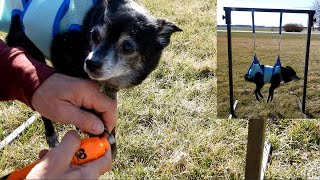 Dog Nail Trimming Structure to Suspend a Dog in a Grooming Hammock to keep Dog Still amp Compliant [upl. by Nelly]