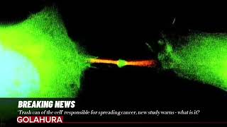 ‘Trash can of the cell’ responsible for spreading cancer new study warns  what is it [upl. by Oliana832]