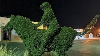 Oatlands Tasmania  Hedges and Topiaries [upl. by June]