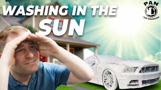 Detailing in Direct Sunlight  products equipment tips amp tricks [upl. by Sayles]