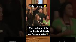 The parliament in New Zealand simply performs a haka🏝️ [upl. by Nomzzaj440]