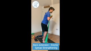 Back Extension  Erector Spinae Strengthening [upl. by Jewell977]