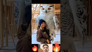 funny birds birds discovery funny funny funny shorts respect [upl. by Gereron]