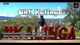 Oh Kalinga  Sherwin Tayab Official Video [upl. by Ragse]