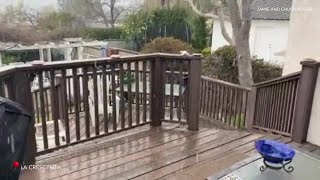 Graupel in La Crescenta [upl. by Aicenod820]