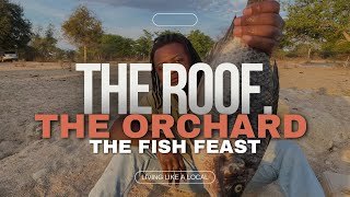 27 The Roof the Orchard and the Fishy Feast  Building in Zimbabwe Village life 🇿🇼 [upl. by Philippine]