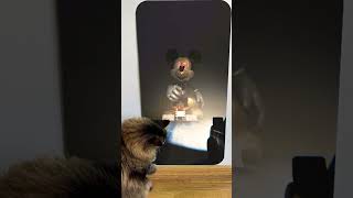 Cat reaction to 😱 mickey mouse s clubhouse 💀😲Skibidi Toilet Song shorts monster creepy scary [upl. by Bone]