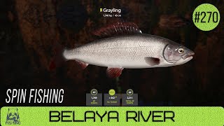 Russian Fishing 4  Belaya River  Spin Fishing  270 [upl. by Fleurette]