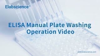 ELISA Manual Plate Washing Operation Video [upl. by Penoyer416]