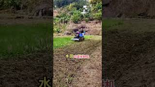 interesting paddy farming paddys paddyfarming machine [upl. by Elamrej]