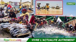 Li ci Dëkk Bi  Disparition des poissons au Sénégal les pêcheurs révèlent les véritables causes [upl. by Whitcher]