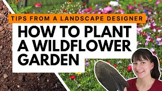 How to start a wildflower garden 💐 Advice from a landscape designer [upl. by Natasha]