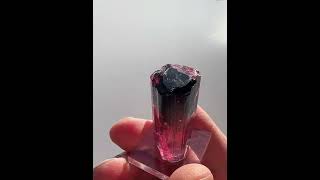 Classic Rubellite tourmaline gem crystal Cruzeiro tourmaline mine Minas Gerais 2015 find 30 g [upl. by Yvon]