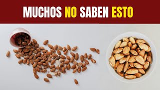 Beneficios de Comer ALMENDRAS [upl. by Rozanne540]