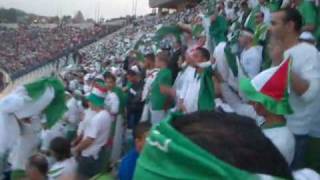 les supporteurs algeriens au stade du caire [upl. by Velma]