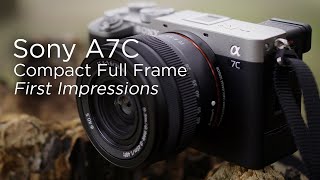 Sony A7C  Tiny fullframe mirrorless  First Impressions Test [upl. by Eednim]