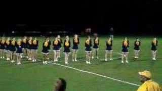 University of Michigan Pompon Team Routine [upl. by Tteragram165]