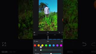 CapCut Color Grading cinematic Editing [upl. by Asennav]