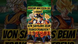 WARUM Wachsen die Haare von Saiyajins beim TransformierenSleepyPharao dragonball dbz goku anime [upl. by Gallagher467]