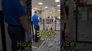 How a service dog goes through airport security [upl. by Ayoted]