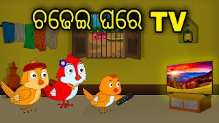 Chadhei Ghare Tv  Odia Cartoon  Odia Bird Stories  Odia Chadhei Gapa Odia Moral Story [upl. by Uehttam462]