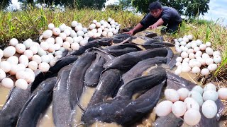 wow Amazing best hand fishing catch a lot of fish and eggs duck at field near the road [upl. by Sondra674]